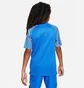 Футболка детская Nike Dri-Fit Academy Blue DH8369-463