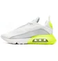Кросівки чоловічі Nike Air Max 2090 White DJ6898-100