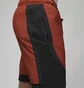 Шорти чоловічі Air Jordan Statement Dri-Fit Sport Orange DM1829-641