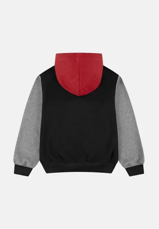 Худі дитяче Air Jordan Brooklyn Fleece Multi 95F121-KR5