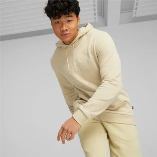 Худи мужское Puma Essentials+ Beige 673387-88