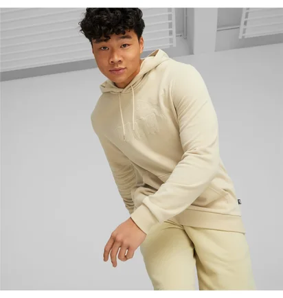 Худи мужское Puma Essentials+ Beige 673387-88