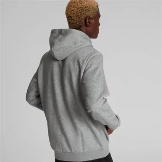 Худі чоловіче Puma Essentials Small Logo Hoodie Grey 586690-03