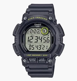 Часы Casio WS-2100H-8A