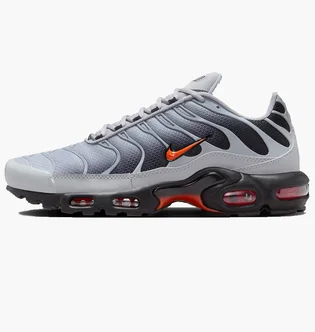 Кроссовки мужские Nike Air Max Plus Wolf Grey DM0032-011