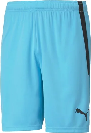 Шорти чоловічі Puma Teamliga Shorts Light Blue 704924-40