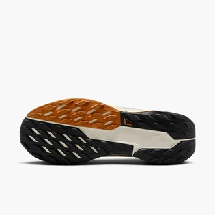 Кросівки жіночі Nike Pegasus Trail 5 Gore-Tex Black FQ0912-005