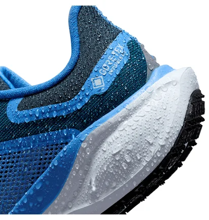 Кросівки жіночі Nike Pegasus 41 Gore Tex Blue FQ1357-400