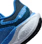 Кросівки жіночі Nike Pegasus 41 Gore Tex Blue FQ1357-400