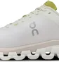 Кросівки чоловічі On Chaussures De Running Cloudflow 4 White 3MD30100248