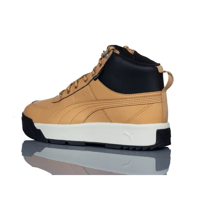 Кросівки чоловічі Puma Tarrenz Puretex Beige 370552-04