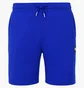 Шорты мужские Weekend Offender Offender Blue WOSST505-SCANDIUM-ELECTRIC