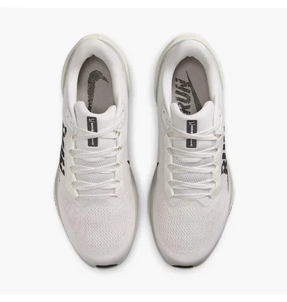 Кросівки чоловічі Nike Air Zoom Pegasus 41 White IB5697-100