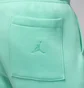 Шорты мужские Air Jordan Essentials Fleece Turquoise FN4535-349