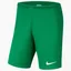 Шорты мужские Nike M Nk Df Park Iii Short Nb K Green BV6855-302