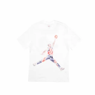 Футболка мужская Air Jordan Ss Tee White FN5980-100