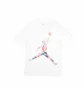 Футболка чоловіча Air Jordan Ss Tee White FN5980-100