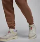 Штаны мужские Air Jordan Brooklyn Fleece Brown FV7277-223