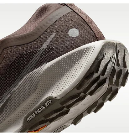 Кроссовки женские Nike Pegasus Trail 5 Brown FQ0912-012