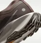 Кроссовки женские Nike Pegasus Trail 5 Brown FQ0912-012