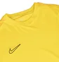 Футболка мужская Nike Dri-Fit Academy 24 Yellow DR1336-719