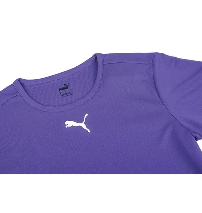 Футболка мужская Puma Teamrise Jersey Violet 704932-10