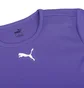 Футболка мужская Puma Teamrise Jersey Violet 704932-10