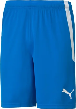 Шорти чоловічі Puma Teamliga Shorts Blue 704924-02