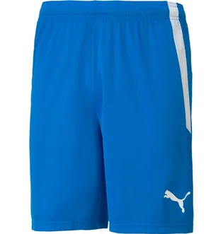 Шорты мужские Puma Teamliga Shorts Blue 704924-02