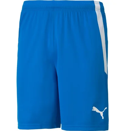 Шорты мужские Puma Teamliga Shorts Blue 704924-02