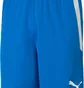 Шорты мужские Puma Teamliga Shorts Blue 704924-02