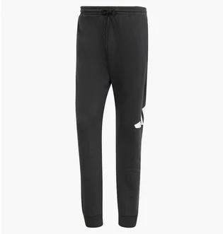 Штани чоловічі Adidas Bl Ft Pt Black IN6163