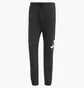 Штаны мужские Adidas Bl Ft Pt Black IN6163