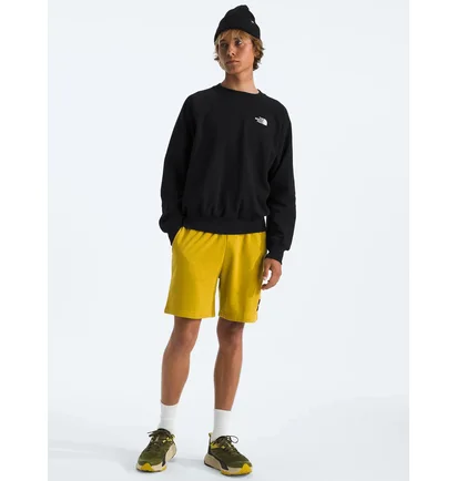 Свитшот мужской The North Face Evolution Crew Black NF0A86WAKY4