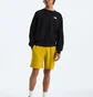 Свитшот мужской The North Face Evolution Crew Black NF0A86WAKY4