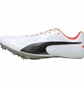 Кросівки чоловічі Puma Evospeed Sprint 10 Running Spikes White 193452-03