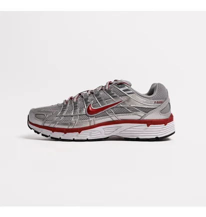 Кросівки чоловічі Nike P-6000 Metallic CD6404-024