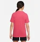 Футболка детская Nike Sportswear Tee Core Brandmark Pink DO1824-666