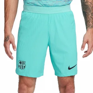 Шорты мужские Nike Shorts Fcb M Nk Dfadv Match Short 3R 2023/24 Turquoise DX9768-486