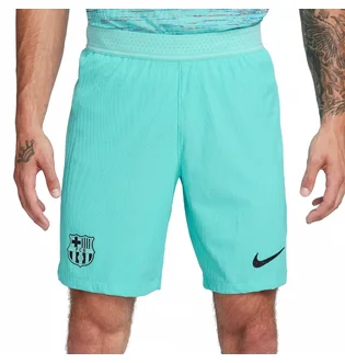 Шорты мужские Nike Shorts Fcb M Nk Dfadv Match Short 3R 2023/24 Turquoise DX9768-486