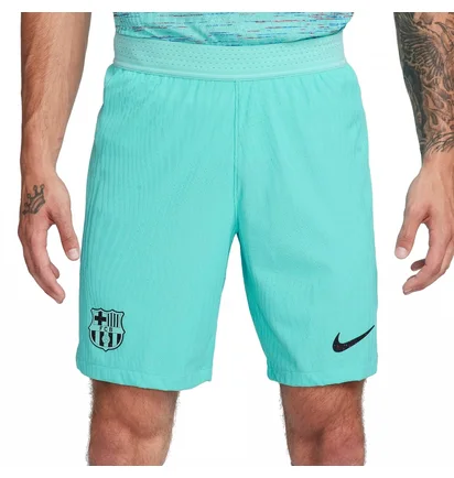 Шорты мужские Nike Shorts Fcb M Nk Dfadv Match Short 3R 2023/24 Turquoise DX9768-486