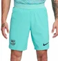 Шорты мужские Nike Shorts Fcb M Nk Dfadv Match Short 3R 2023/24 Turquoise DX9768-486