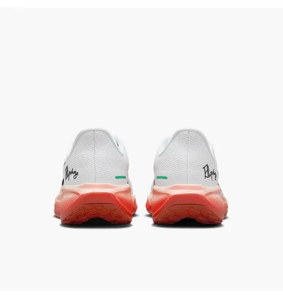 Кросівки чоловічі Nike Air Zoom Pegasus White HJ7037-100