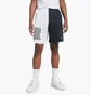 Шорты мужские Nike Dri-Fit Shorts Black/White Dh7164-101