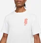 Футболка мужская Nike Ki M Df Logo Ss Tee White DJ1566-100
