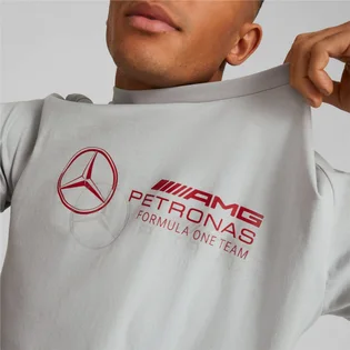 Футболка чоловіча Puma Mercedes-Amg Petronas Motorsport Logo Tee White 538482-02