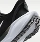 Кросівки чоловічі Nike Pegasus Easyon Black FQ7837-002