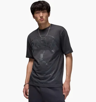 Футболка мужская Air Jordan Psg Ss Logo Grey HV3411-060
