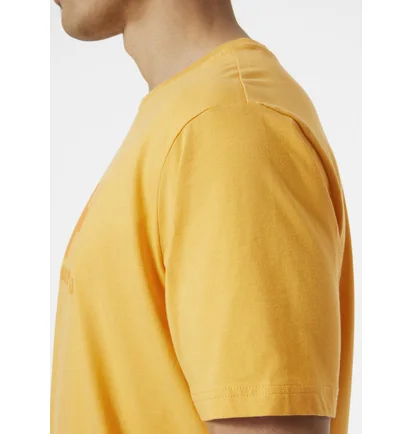Футболка мужская Helly Hansen Logo T-Shirt Yellow 33979-364