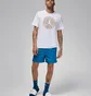Футболка мужская Air Jordan M J Flt Ess Pool Ss Crew White FN6006-100